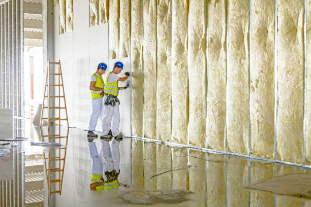 Best Commercial Insulation Contractor  in Susitna North, AK